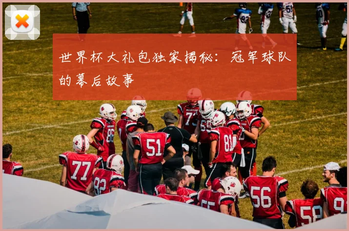 世界杯大礼包独家揭秘：冠军球队的幕后故事