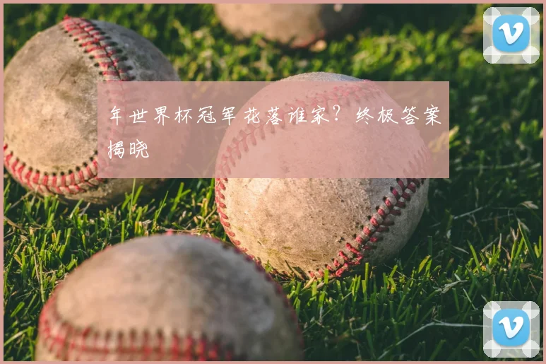 年世界杯冠军花落谁家?终极答案揭晓