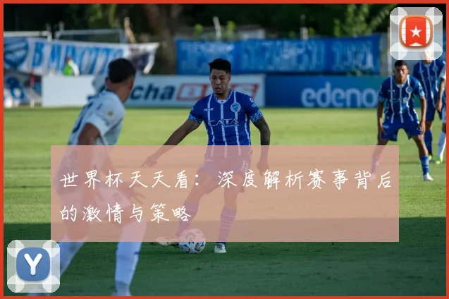 世界杯天天看：深度解析赛事背后的激情与策略