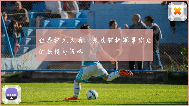 世界杯天天看：深度解析赛事背后的激情与策略