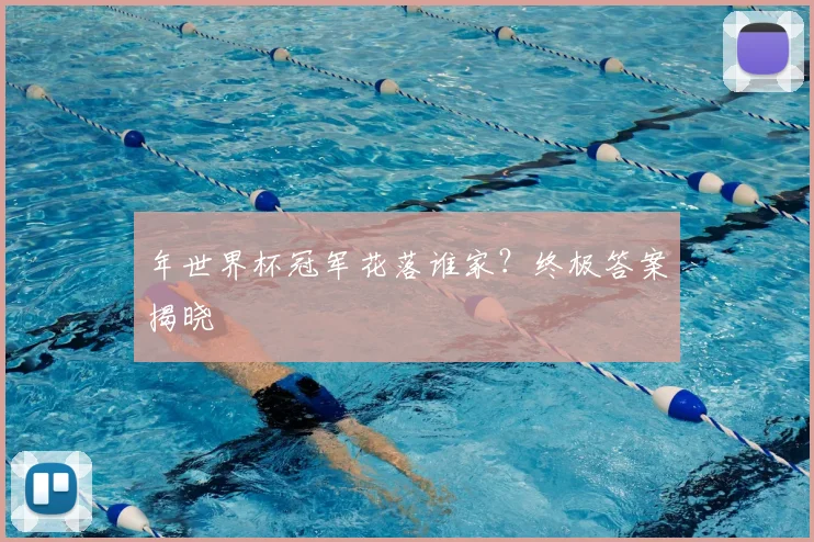 年世界杯冠军花落谁家?终极答案揭晓
