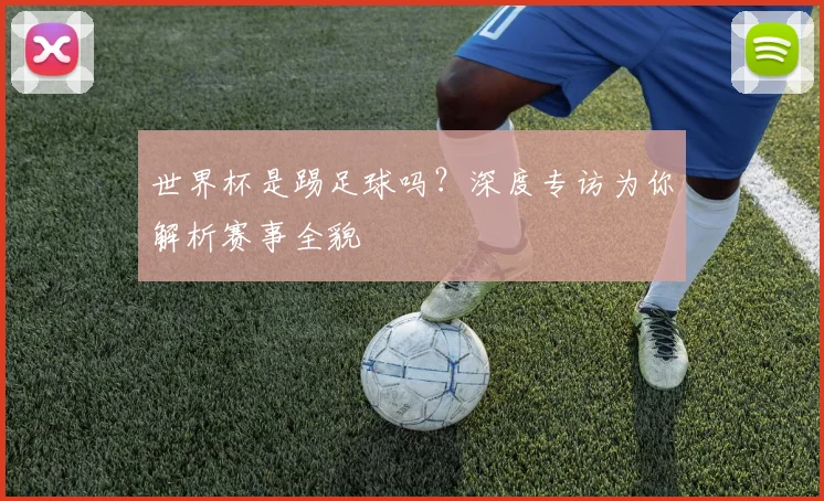世界杯是踢足球吗?深度专访为你解析赛事全貌
