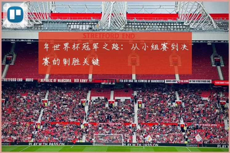年世界杯冠军之路：从小组赛到决赛的制胜关键