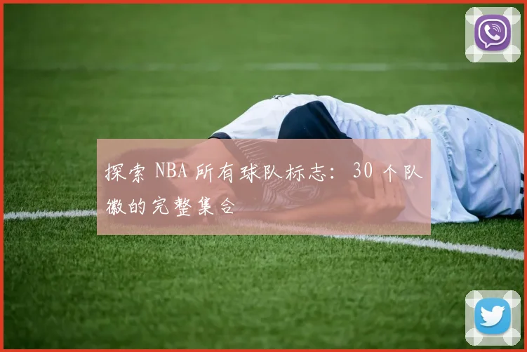 探索 NBA 所有球队标志:30 个队徽的完整集合